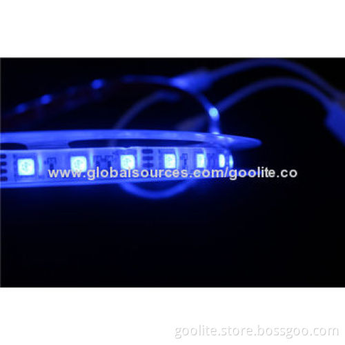 Waterproof IP68 12V DC 3528 SMD LED Colorful Flexible Strip Light , LEDs 60 Pieces/m